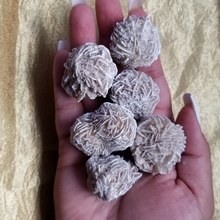 Load image into Gallery viewer, Desert Rose Selenite - Raw
