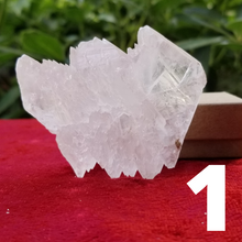 Load image into Gallery viewer, Selenite - Angel's Wings - Raw
