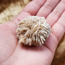 Load image into Gallery viewer, Desert Rose Selenite - Raw
