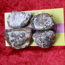 Load image into Gallery viewer, Leopardskin Orbicular Jasper
